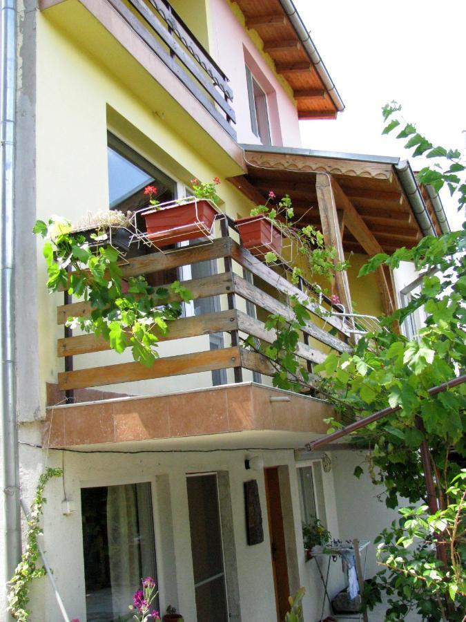Guest House Familia Samovodene 외부 사진